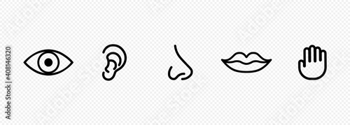 Five human senses icon set. Eye, nose, ear, hand, mouth with tongue sign. Sight, smell, hearing, touch, taste concept. Vector on isolated transparent background. EPS 10