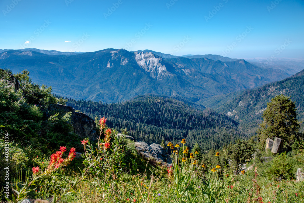 Alta Peak Sequoia National Park 