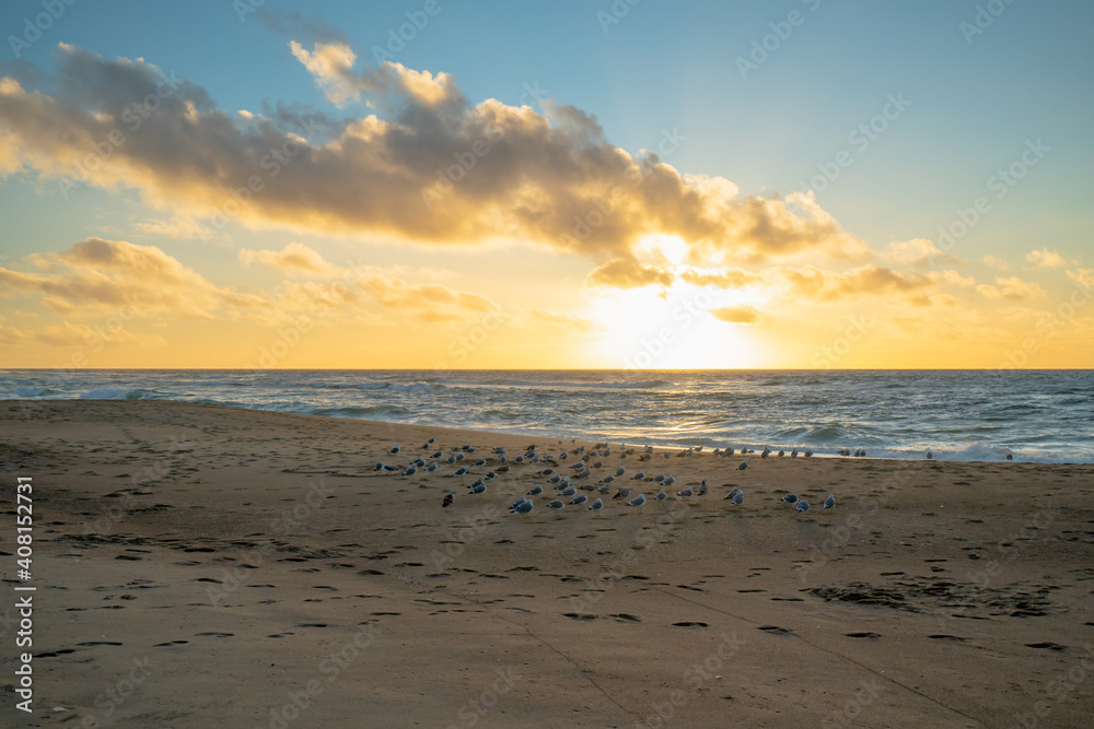 Beach at sunset. Beautiful cloudy sky, sun setting down the horizon, and flock of birds on sand beach