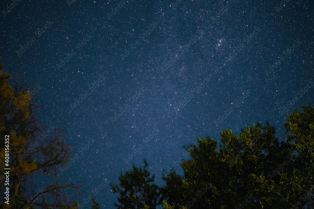 Milky Way rises over the pine trees on a foreground Star night over woodland