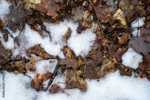 a little white snow and brown autumn leaves form a beautiful texture © Rolands