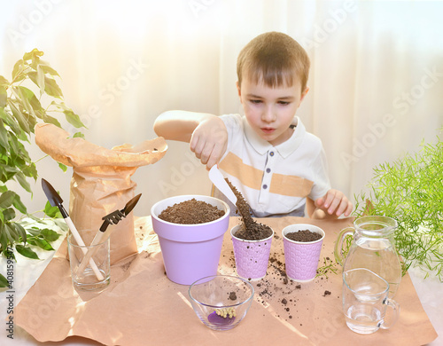 A child with a surprised pours a clearing of the crumbling soil into a paper cup. Gardening, planting pea seeds.