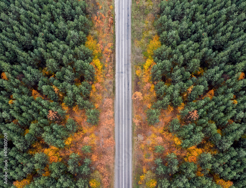 Country road in the autumn forest from a bird's eye view.