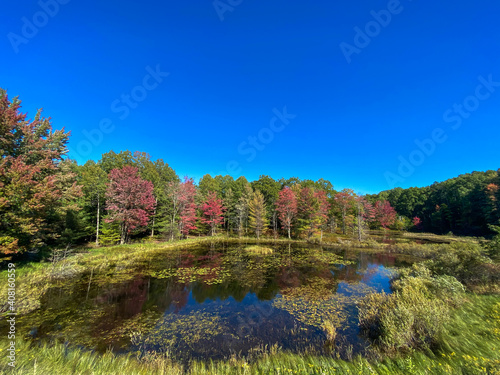 autumn colors in the various trees surrounding a calm pond with lily pads with bright blue sky reflections