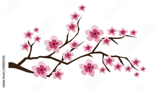 vector blossom branches © peony