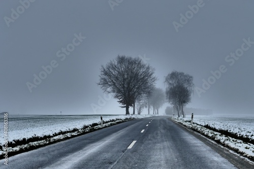 Landstrasse mit Bäumen und schneebedeckten Feldern seitlich im Nebel