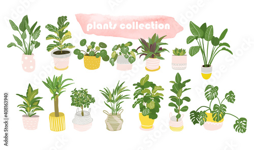 potted plants collection. succulents and house plants. hand drawn vector illustration.
Set of house indoor plant vector cartoon doodle.