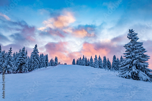 Sunset with heavily snowed trees, Pangarati Peak, Harghita, Transylvania, Romania, Europe