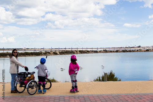 family with tricycle and roller skates on promenade, watching group of flamingos