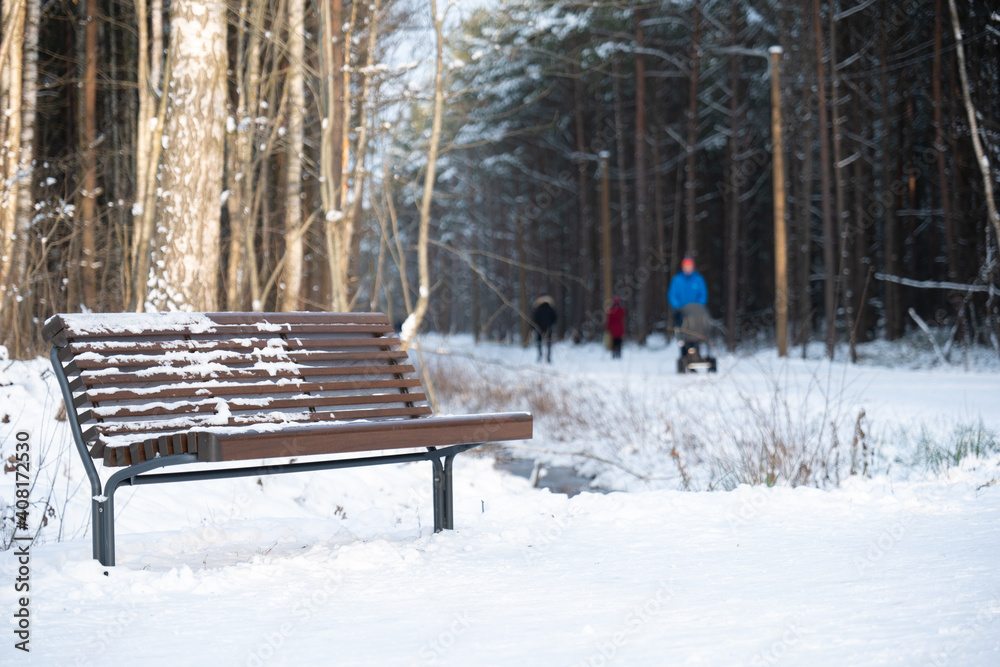 Empty bench in snowy forest with walking paths
