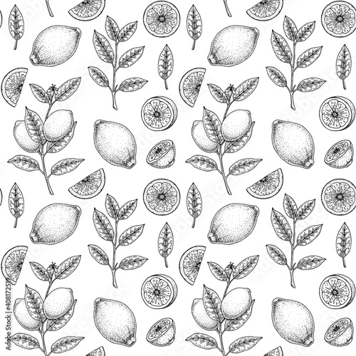 Hand drawn seamless pattern with lemon fruit, leaves and branches with flowers. Vector illustration in sketch style