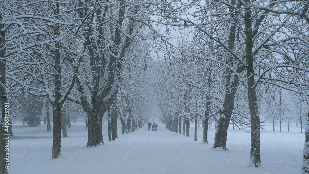 People are having fun walking along the scenic avenue during a severe snowstorm. People are having fun walking along the scenic avenue during a severe snowstorm.