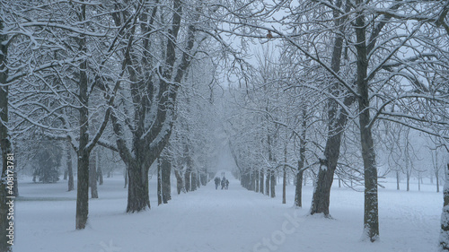 People are having fun walking along the scenic avenue during a severe snowstorm.