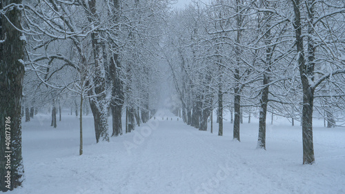 Empty snow covered avenue runs across the idyllic park engulfed in a blizzard.