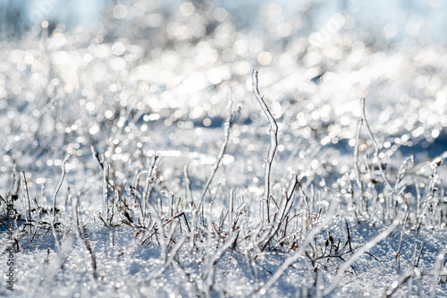 shapeless frozen grass. Winter. Blurred background