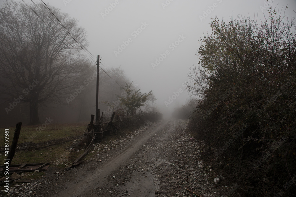 Obraz premium Landscape with beautiful fog in forest on hill or Trail through a mysterious winter forest with autumn leaves on the ground. Road through a winter forest. Magical atmosphere.
