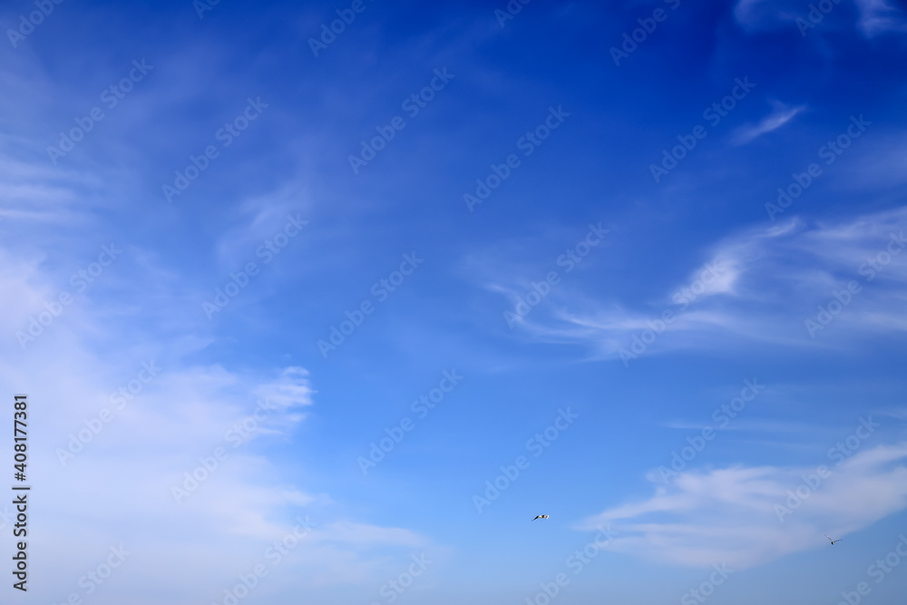 Blue sky background, pale cirrus White clouds. Simple natural background, landscape. Global climate change, warming Blue sky background, pale cirrus White clouds. Simple natural background, landscape. Global climate change, warming
