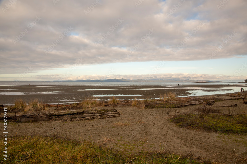 Natural sandy beach with drift wood, under a cloudy sky