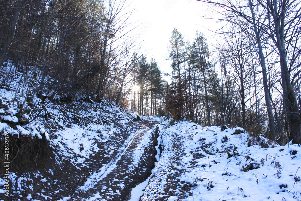 Forest road in winter. Road covered with white snow. The winter sun is trying to melt the snow. Forest road in winter. Road covered with white snow. The winter sun is trying to melt the snow.