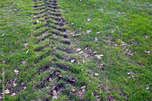 Big tire tracks on grass