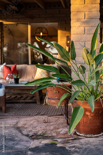 Desert Patio at Sunset with plants, cactus and beautiful landscaped outdoor space