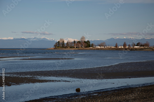 Beach snow cap mountains trees and sand photo