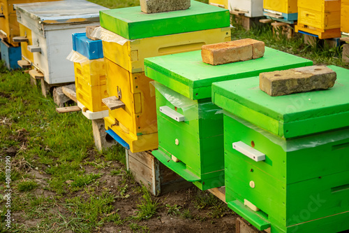 Colorful wooden and plastic hives against blue sky in summer. Apiary standing in yard on grass. Cold weather and bee sitting in hive. © Maryna