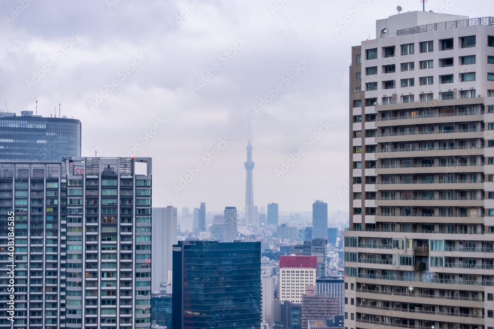 東京都港区浜松町から見た東京の景色