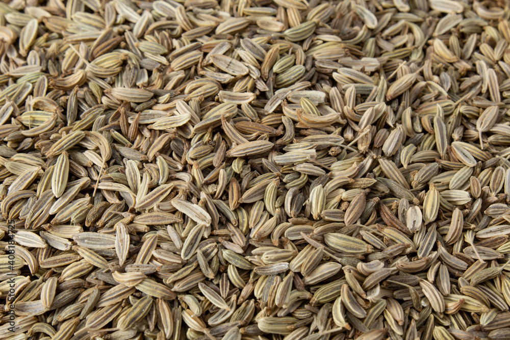 Texture with fennel or anise seeds