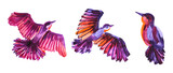 Set watercolor flying purple, pink, orange abstract bird isolated on white background. Hand-drawn art creative animal object for card, wallpaper, wrapping, sticker, textile