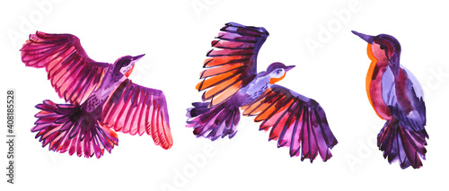 Set watercolor flying purple, pink, orange abstract bird isolated on white background. Hand-drawn art creative animal object for card, wallpaper, wrapping, sticker, textile
