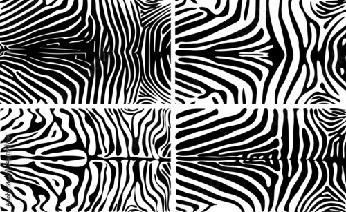 Zebra print  animal skin  line background  Amazing hand drawn vector illustration. Poster  banner. Black and white artwork  