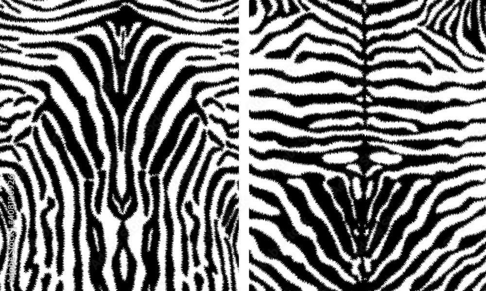 Black and white zebra stripes background. Vector illustration. Zebra pattern, stylish stripes texture. Animal natural print. For the design of wallpaper, 