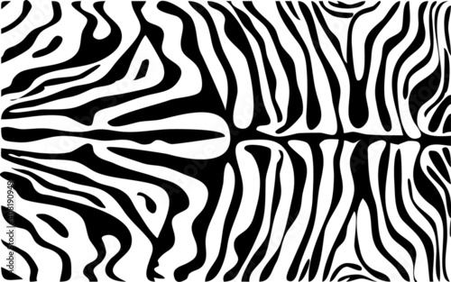 zebra animal print pattern black and white  Amazing hand drawn vector illustration. Poster  banner. Black and white artwork  