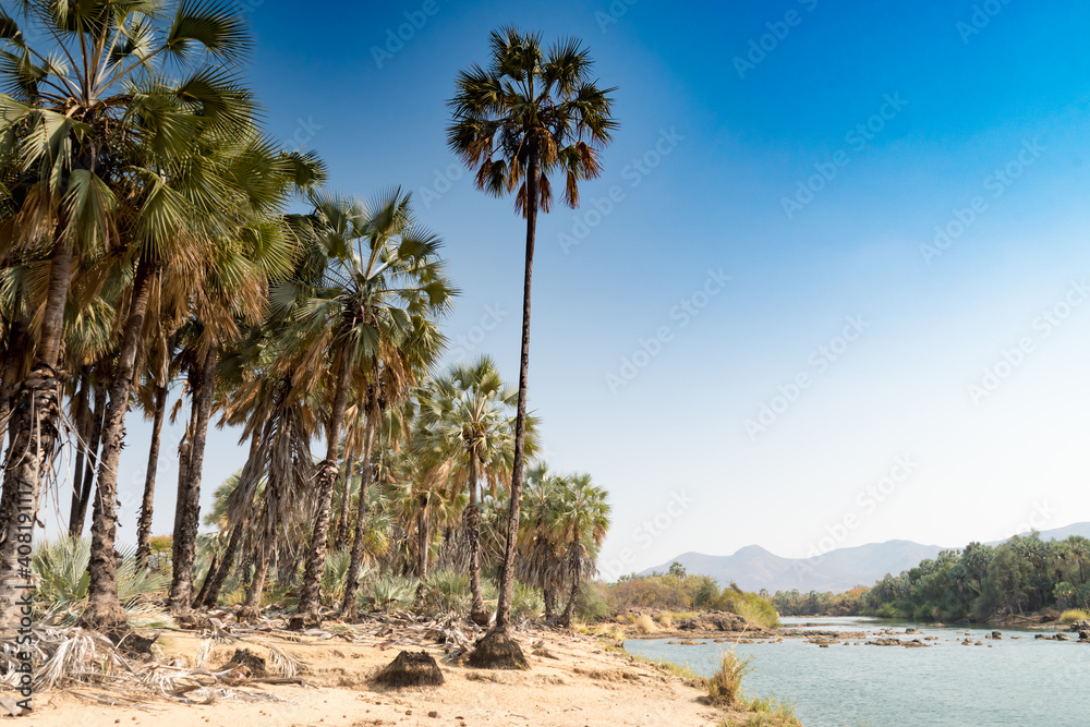 Palm Trees On The Banks Of The River Kunene In Kaokoveld Namibia