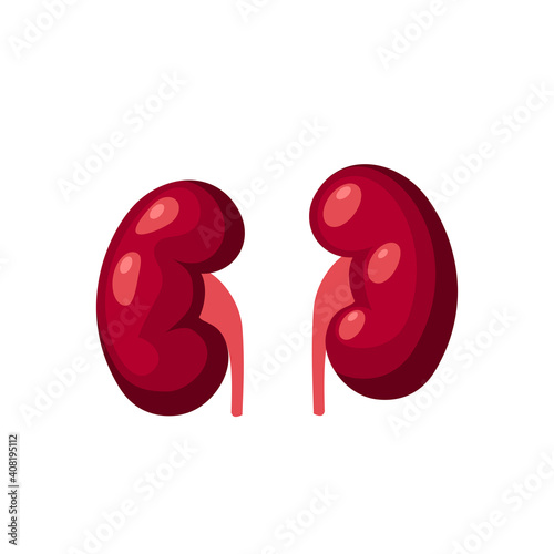 Human kidney. Internal organ, anatomy. Vector cartoon flat icon illustration isolated on white background.