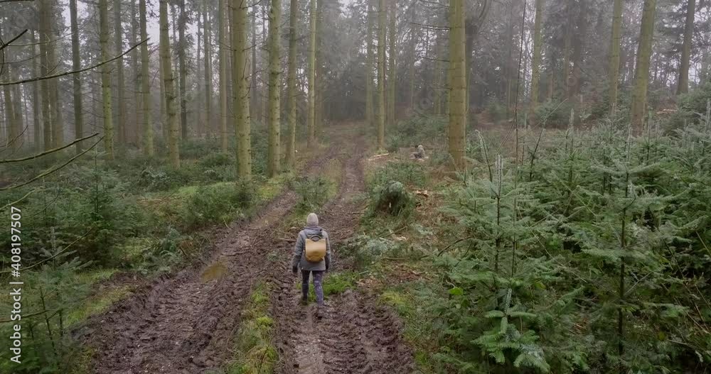 Following female walking through the woods in the UK Following female walking through the woods in the UK