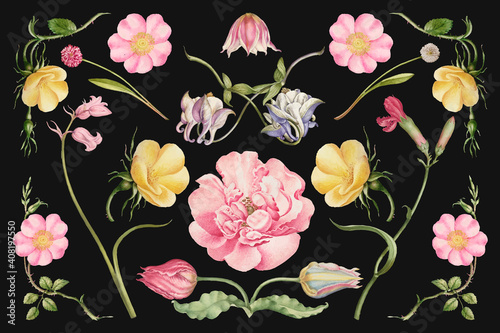 Fotobehang Vintage blooming flower illustration vector set, remix from The Model Book of Ca