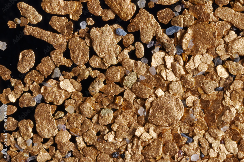 Macro photo of raw alluvial placer gold from British Columbia, Canada. Smaller raw gemstones,platinum and black sand commonly deposited with gold also shown. Macro photo of raw alluvial placer gold from British Columbia, Canada. Smaller raw gemstones,platinum and black sand commonly deposited with gold also shown.