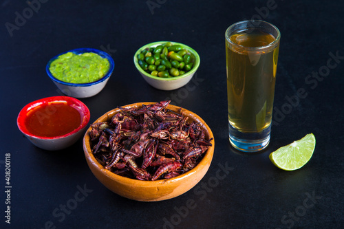grasshoppers chapulines and tequila. Traditional mexican food