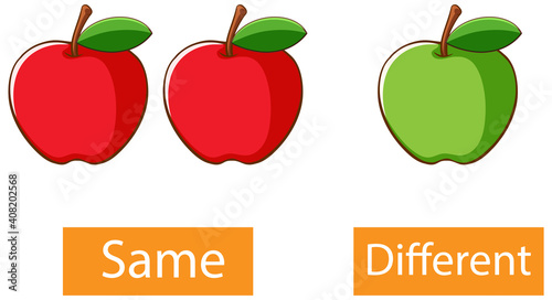 Opposite adjectives words with same and different