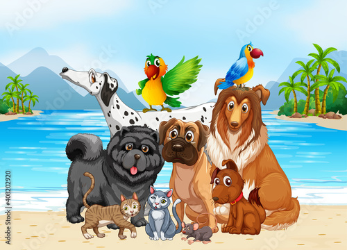 Beach outdoor scene with group of pet