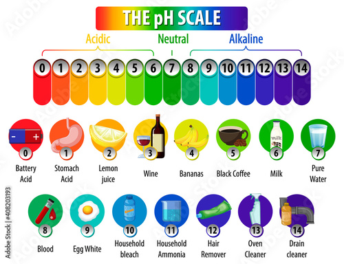 The pH Scale diagram on white background