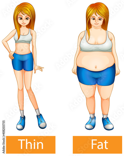 Opposite adjectives words with thin and fat