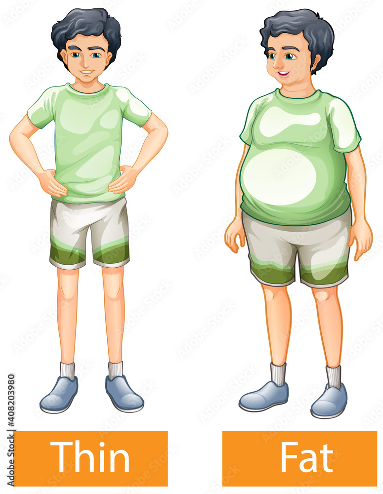 Opposite adjectives words with thin and fat