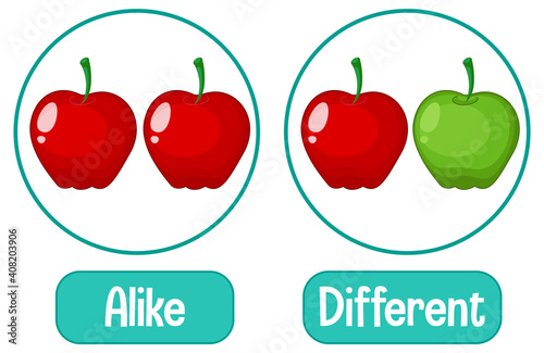Opposite words with alike and different
