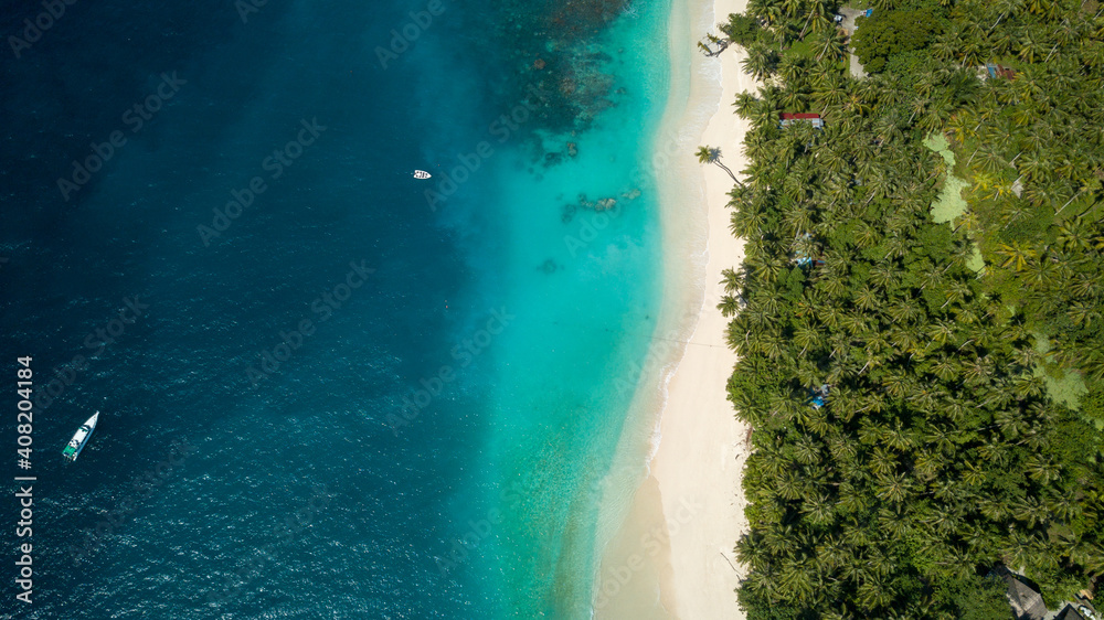 Aerial Drone Tropical Island Ocean Meets Sandy Beach & Palm Trees Tropical Escaps