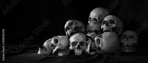 The pile of old skulls put on black cloth and black background