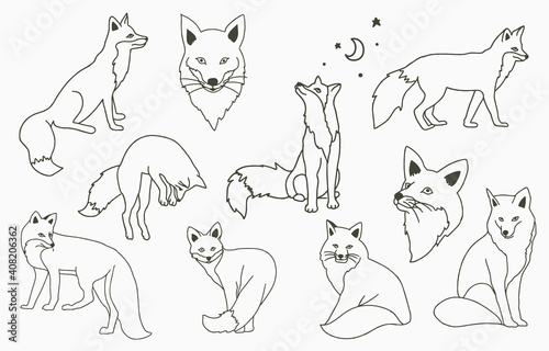 Black line object collection with fox,moon,star