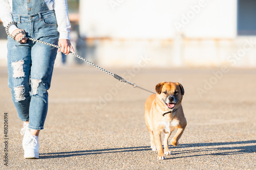 お散歩する犬と若い女性 photo